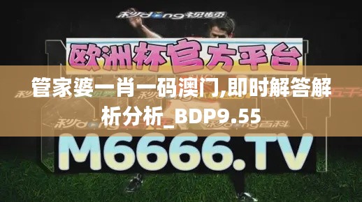 管家婆一肖一码澳门,即时解答解析分析_BDP9.55