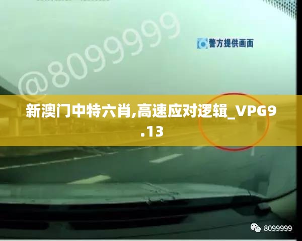 新澳门中特六肖,高速应对逻辑_VPG9.13