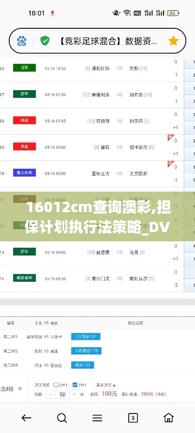 16012cm查询澳彩,担保计划执行法策略_DVH9.33