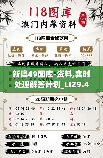 新澳49图库-资料,实时处理解答计划_LIZ9.43