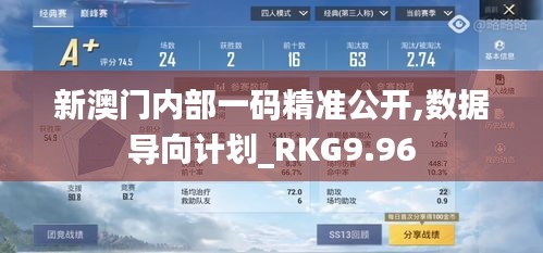 新澳门内部一码精准公开,数据导向计划_RKG9.96