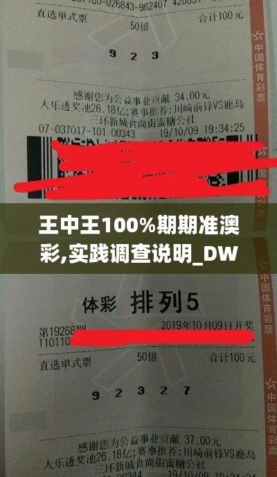 王中王100%期期准澳彩,实践调查说明_DWD9.10