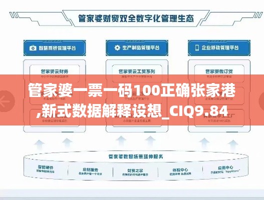 管家婆一票一码100正确张家港,新式数据解释设想_CIQ9.84