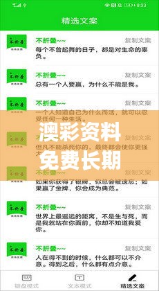 澳彩资料免费长期公开2024新澳门,高效执行方案_XRB9.17