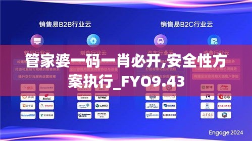 管家婆一码一肖必开,安全性方案执行_FYO9.43