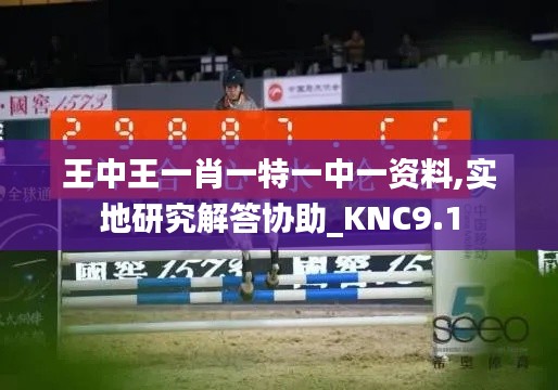 王中王一肖一特一中一资料,实地研究解答协助_KNC9.1