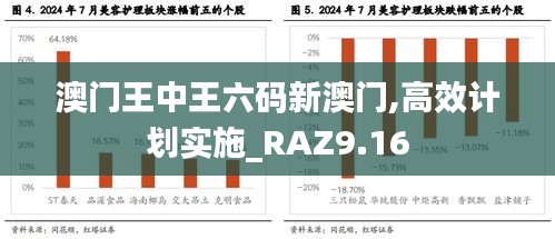 澳门王中王六码新澳门,高效计划实施_RAZ9.16