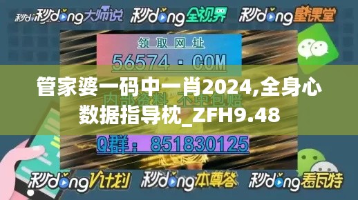 管家婆一码中一肖2024,全身心数据指导枕_ZFH9.48