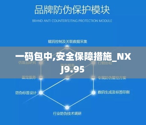 一码包中,安全保障措施_NXJ9.95