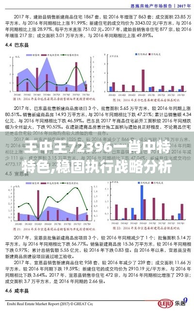 王中王72396一肖中特特色,稳固执行战略分析_GES9.66