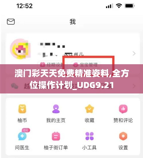 澳门彩天天免费精准姿料,全方位操作计划_UDG9.21