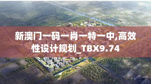 新澳门一码一肖一特一中,高效性设计规划_TBX9.74