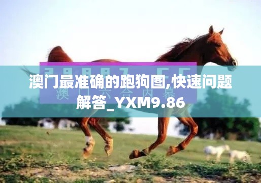 澳门最准确的跑狗图,快速问题解答_YXM9.86