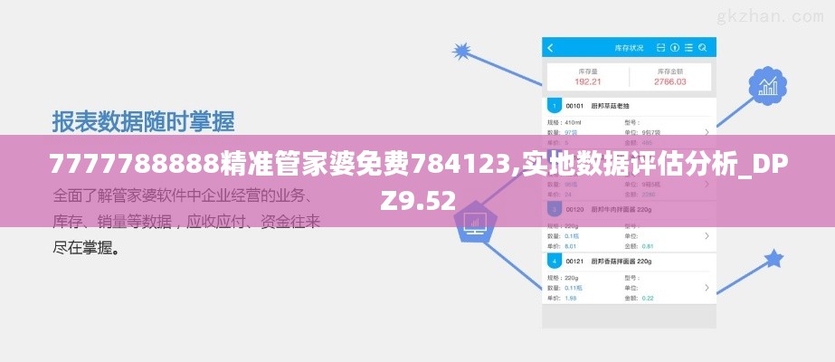 7777788888精准管家婆免费784123,实地数据评估分析_DPZ9.52