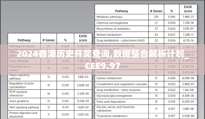 2024香港历史开奖查询,数据整合解析计划_CEE9.97