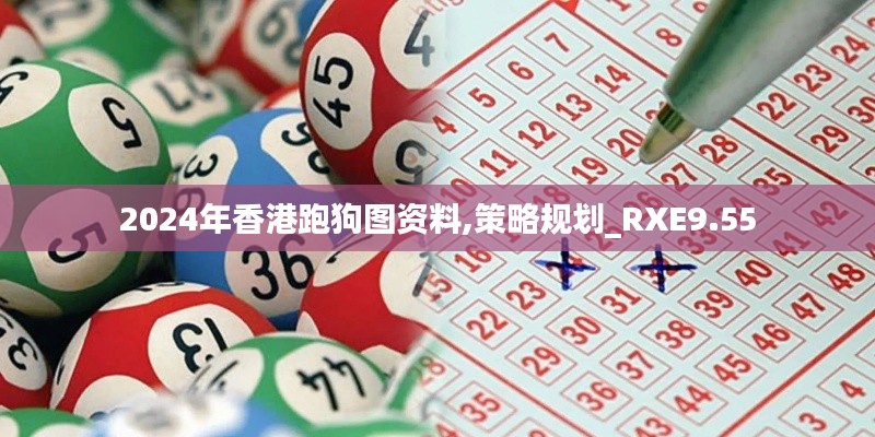 2024年香港跑狗图资料,策略规划_RXE9.55