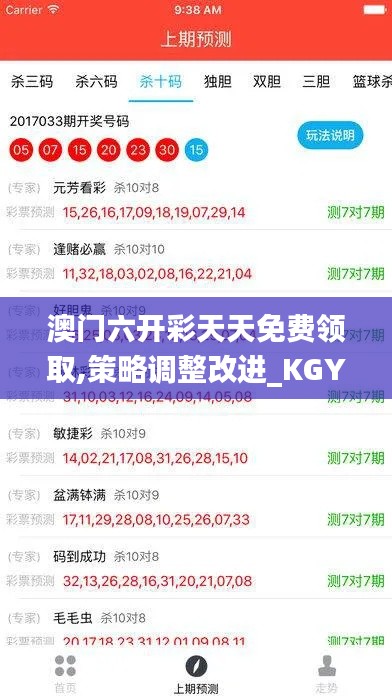 澳门六开彩天天免费领取,策略调整改进_KGY9.64