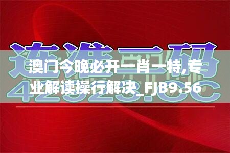 澳门今晚必开一肖一特,专业解读操行解决_FJB9.56