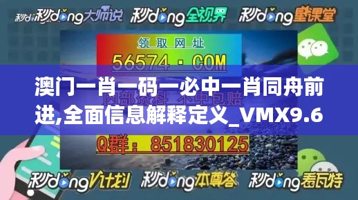 澳门一肖一码一必中一肖同舟前进,全面信息解释定义_VMX9.66