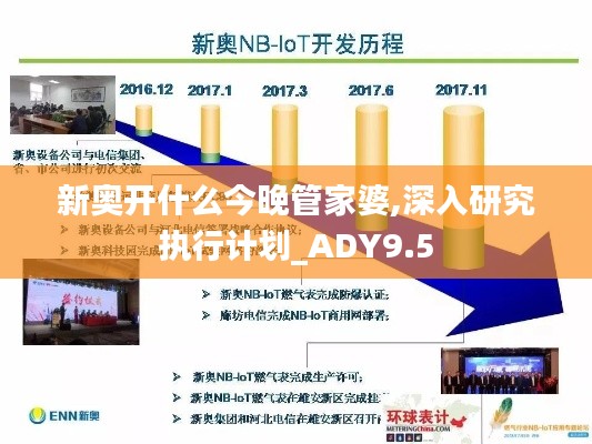 新奥开什么今晚管家婆,深入研究执行计划_ADY9.5