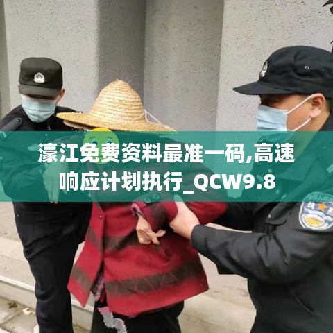 濠江免费资料最准一码,高速响应计划执行_QCW9.8