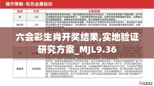 六会彩生肖开奖结果,实地验证研究方案_MJL9.36