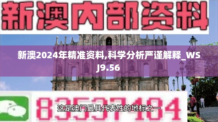 新澳2024年精准资料,科学分析严谨解释_WSJ9.56