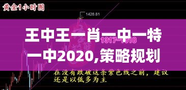 王中王一肖一中一特一中2020,策略规划_JLE9.76