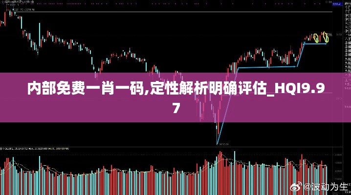 内部免费一肖一码,定性解析明确评估_HQI9.97