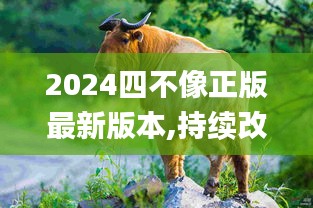 2024四不像正版最新版本,持续改进策略_MIR9.82