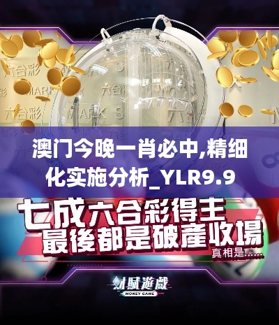 澳门今晚一肖必中,精细化实施分析_YLR9.9