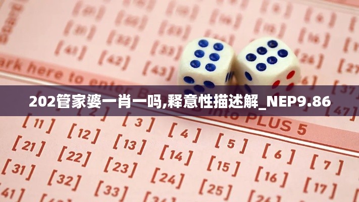 202管家婆一肖一吗,释意性描述解_NEP9.86