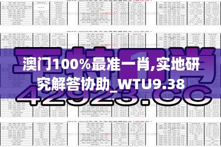 澳门100%最准一肖,实地研究解答协助_WTU9.38