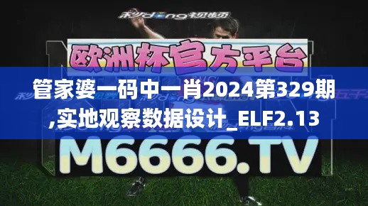 管家婆一码中一肖2024第329期,实地观察数据设计_ELF2.13