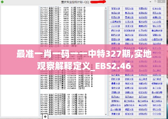 最准一肖一码一一中特327期,实地观察解释定义_EBS2.46