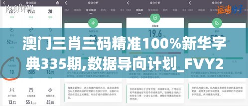 澳门三肖三码精准100%新华字典335期,数据导向计划_FVY2.89