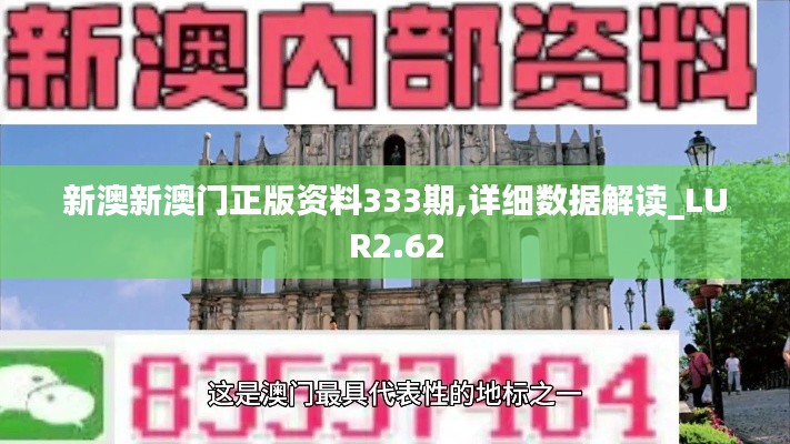 新澳新澳门正版资料333期,详细数据解读_LUR2.62