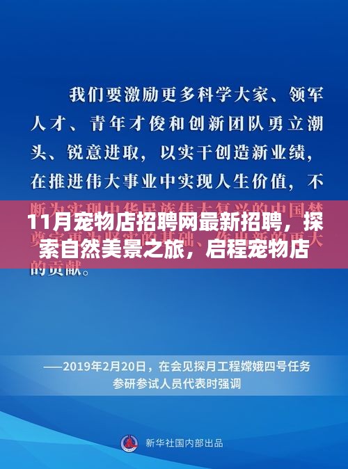 最新宠物店招聘启事，启程探索自然美景之旅，寻找内心的宁静与微笑