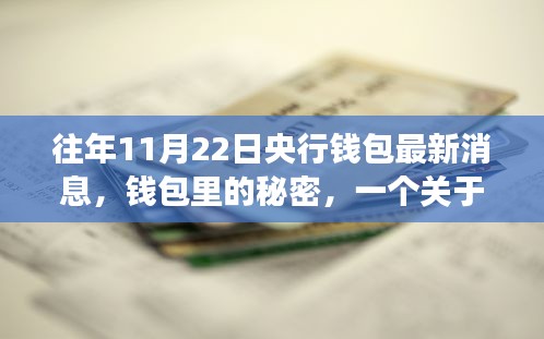 央行钱包最新动态揭秘，秋日故事中的友情与温馨央行消息传递温情秘密