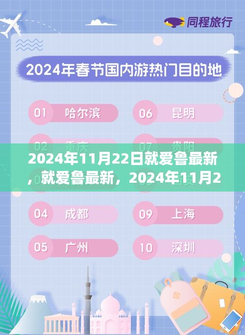 2024年11月22日深度洞察，就爱鲁的最新观点与博弈