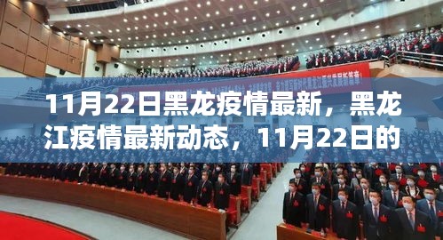 黑龙江疫情最新动态，11月22日回顾与影响