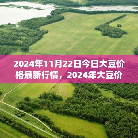 大豆价格最新行情与寻找内心宁静之旅