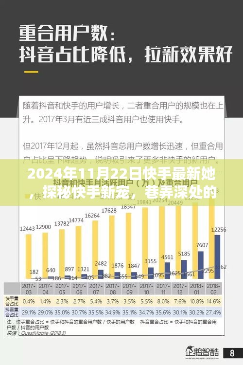 独家揭秘，快手新宠的独特风味，巷弄深处的宝藏（2024年11月22日）