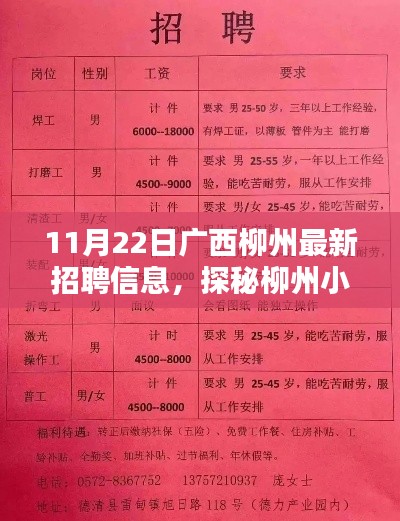 广西柳州最新招聘信息揭秘，小巷深处的隐藏宝藏与特色小店探秘