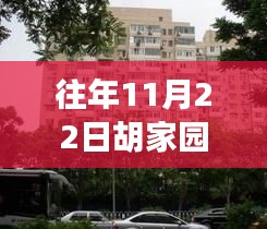 胡家园还迁房最新进展，见证变化的力量，学习与自信的构筑