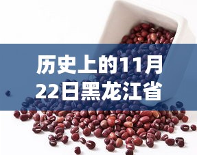 红小豆价格揭秘，黑龙江省的历史价格走势与日常故事