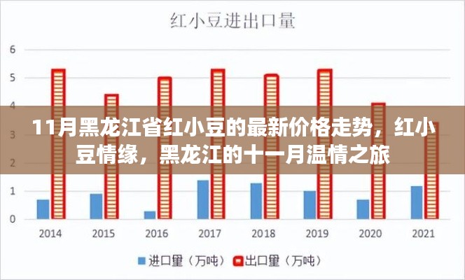 黑龙江红小豆情缘，十一月价格走势与温情之旅