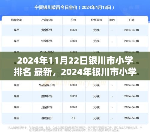 2024年银川市小学最新排名及查询指南