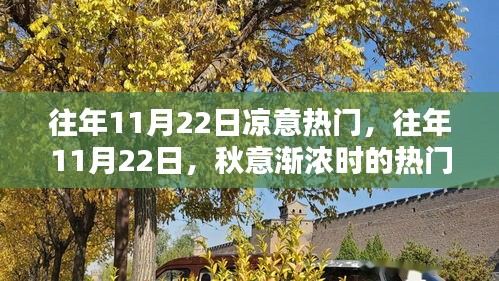 往年11月22日秋意渐浓时的热门趋势概览