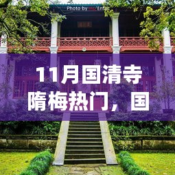 国清寺隋梅热门之旅，赏梅攻略与体验指南